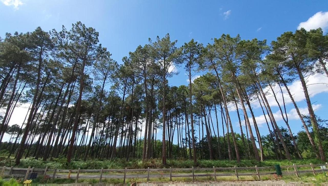 Maison Gemme A Landes Léon Kültér fotó